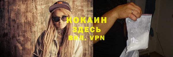стафф Арсеньев