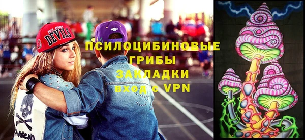 МДПВ Аркадак