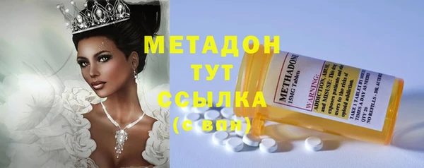 стафф Арсеньев