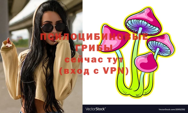 МДПВ Армянск