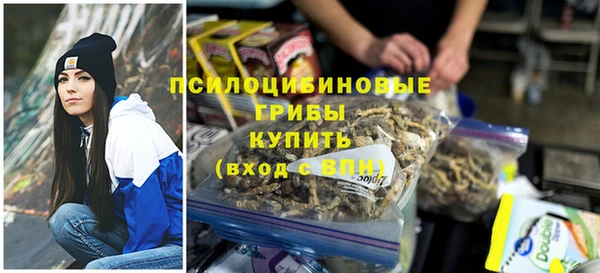 МДПВ Аркадак