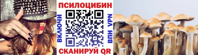 купить закладку  Верея  Галлюциногенные грибы Psilocybe 
